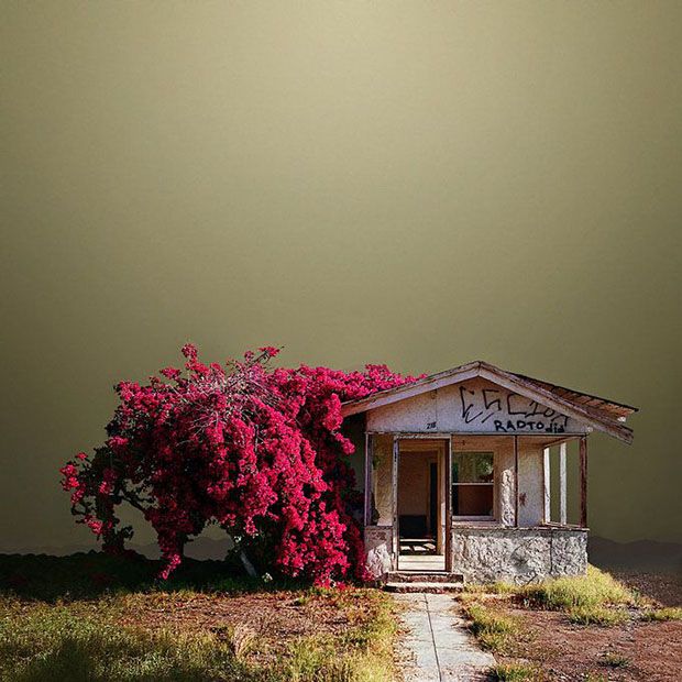 Desert Realty – Ed Freeman 