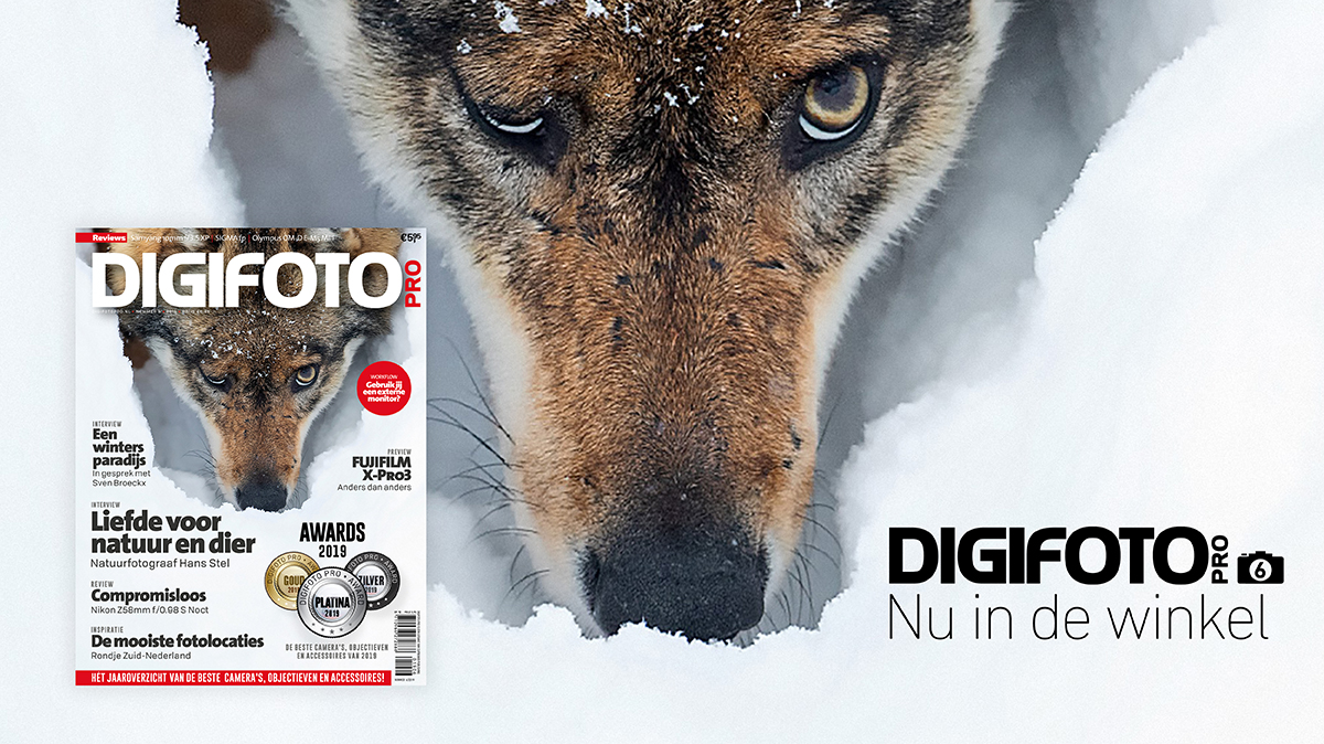 nu verkrijgbaar digifoto pro 6.2019