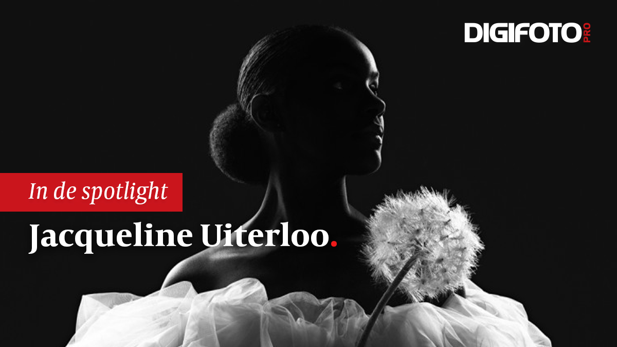Spotlight van de week