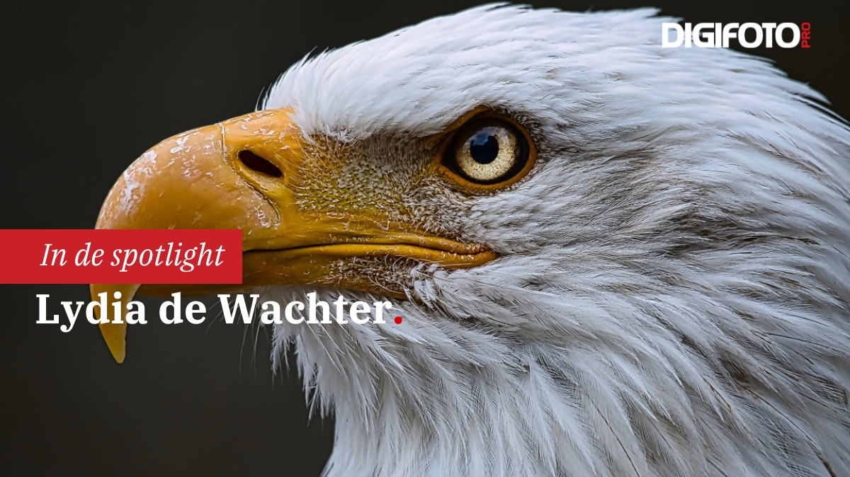 Spotlight van de week DIGIFOTO Pro 