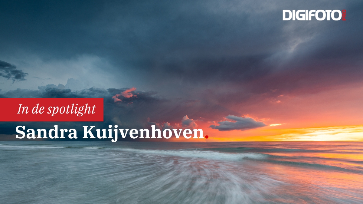 Spotlight van de week Spotlight van de week