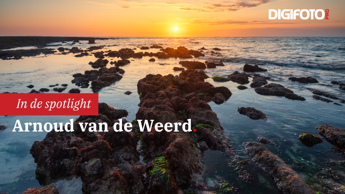 Spotlight van de week