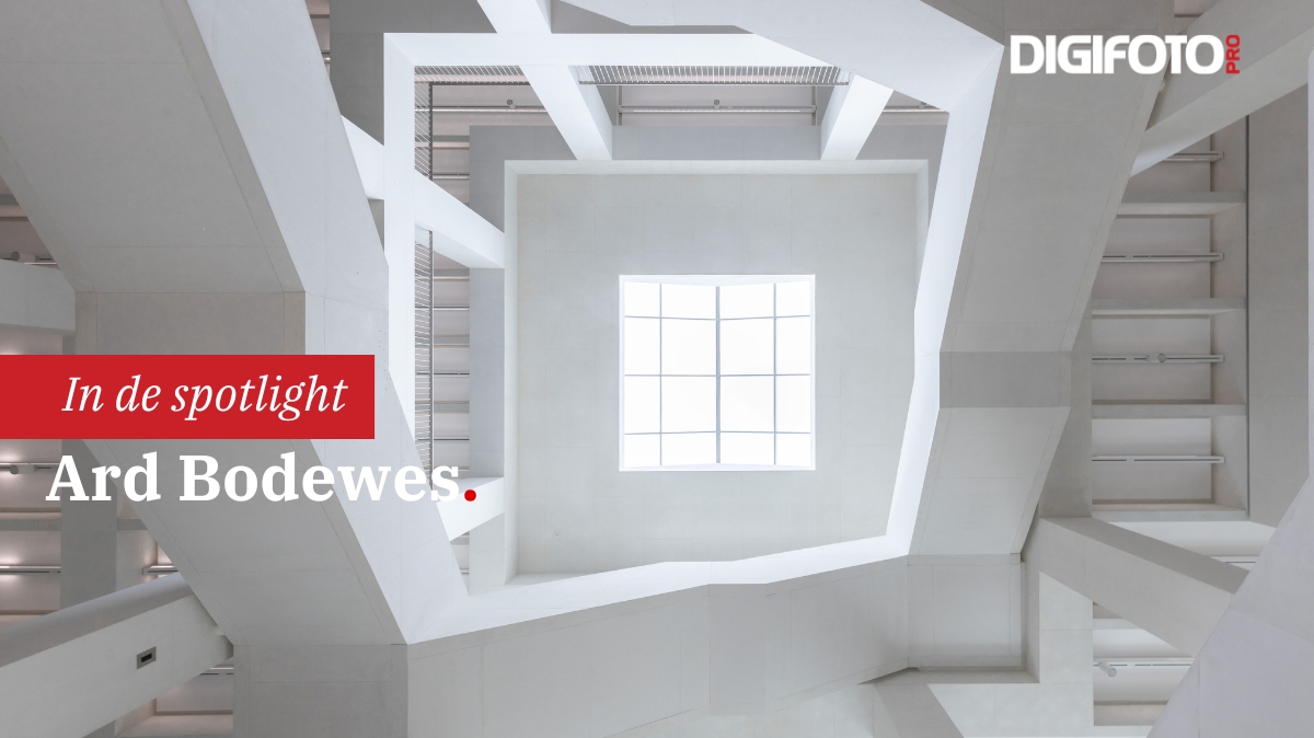 Spotlight van de week Spotlight van de week