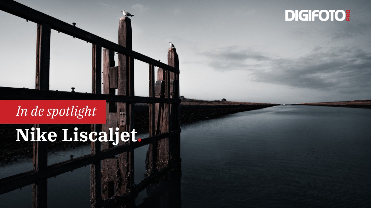 Spotlight van de Week