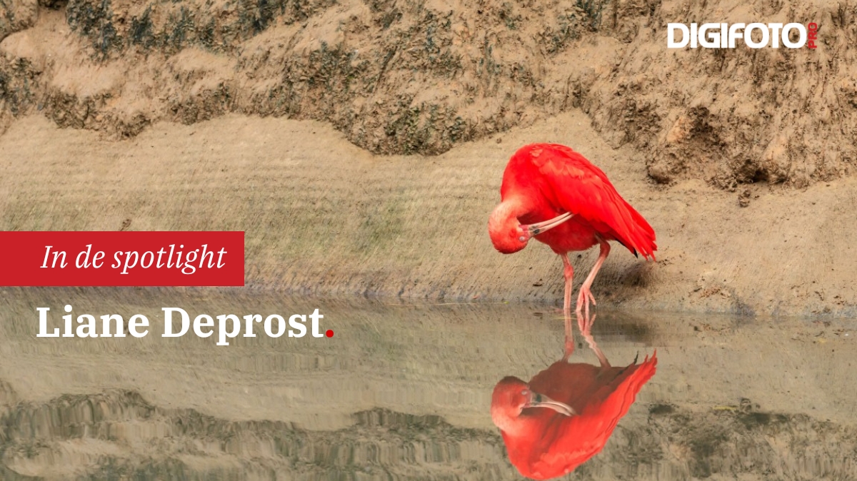 Spotlight van de week Spotlight van de week
