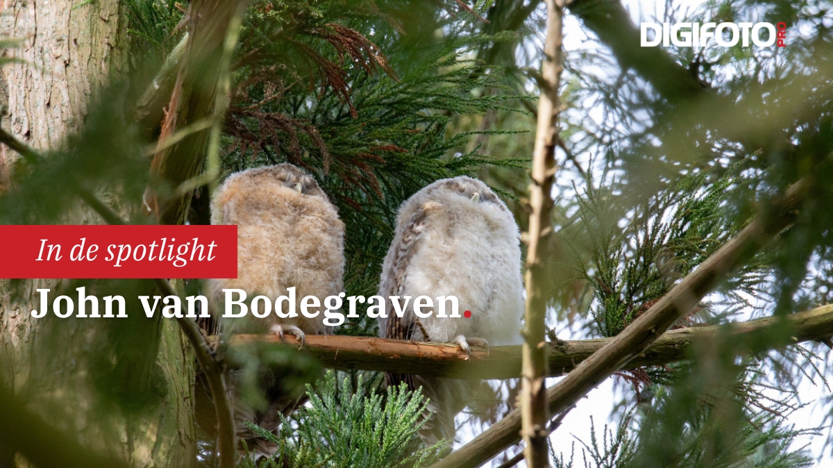 Spotlight van de week