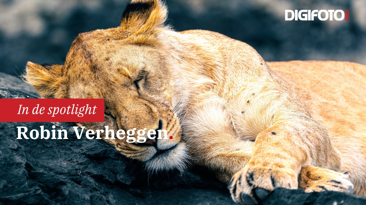 Spotlight van de week