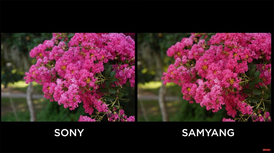 sony, samyang, 85mm, Sony FE 85mm f/1.4 GM, versus, Samyang 85MM F/1.4 AF Sony FE