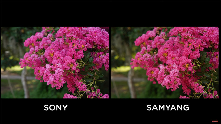 sony, samyang, 85mm, Sony FE 85mm f/1.4 GM, versus, Samyang 85MM F/1.4 AF Sony FE