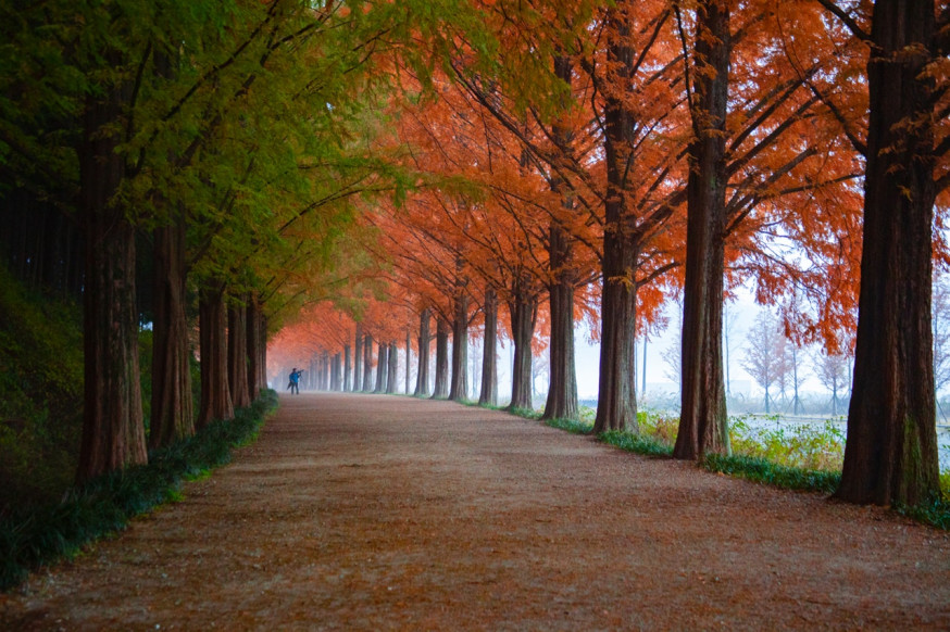 herfstkleuren