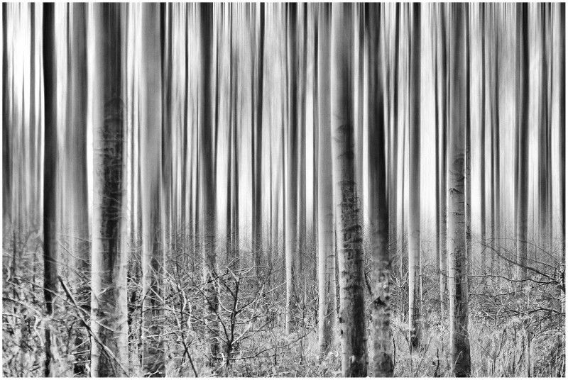 Fotowedstrijd Winter in zwart-wit