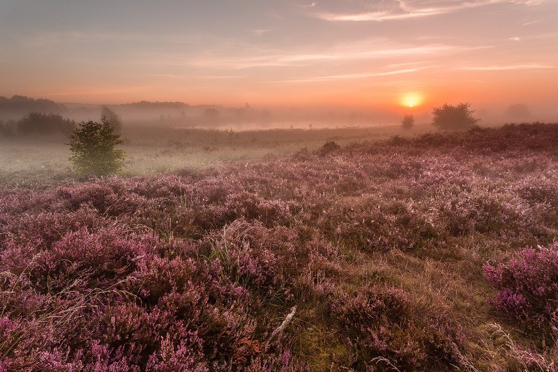 Masterclass landschapsfotografie