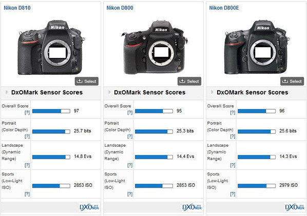 Nikon D810 vs D800 vs D800E