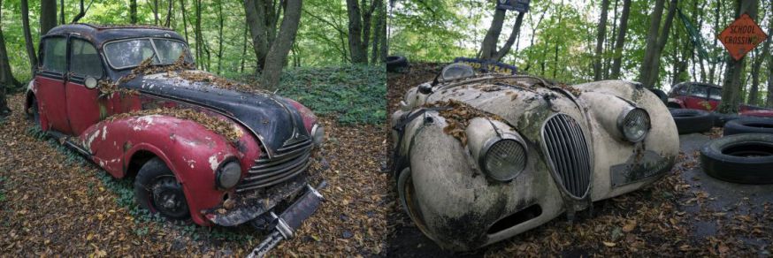 Verlaten auto’s uit de jaren 50