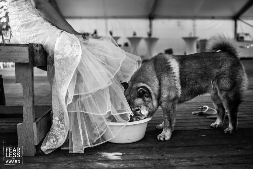 fearless photographers denise motz bruiloft wedding