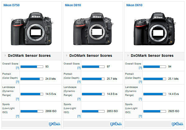 Nikon D750 vs D610 vs D810