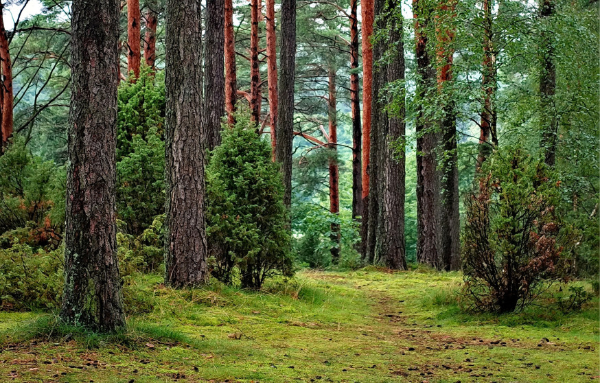 natuurfotografie accessoires must haves voor natuurfotografen