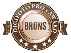 Brons Award
