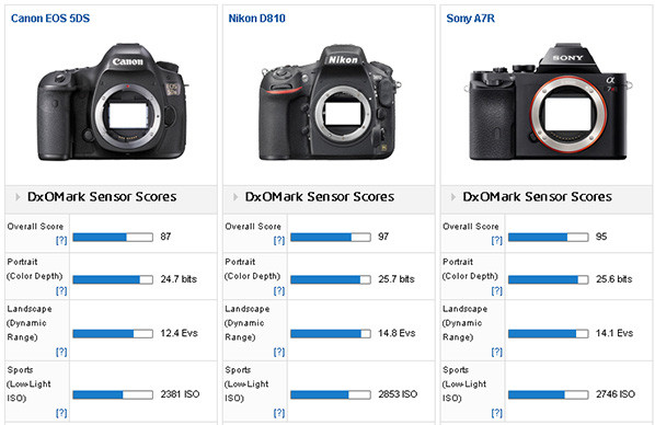 Canon EOS 5DS vs D810 VS A7R