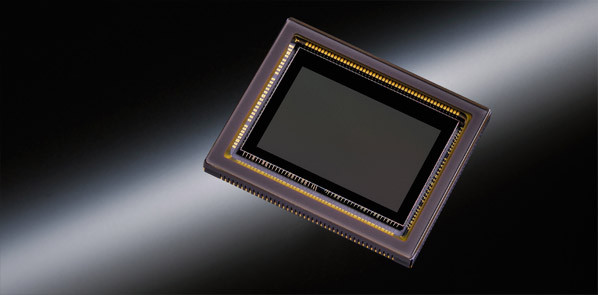 Nikon D7100 sensor