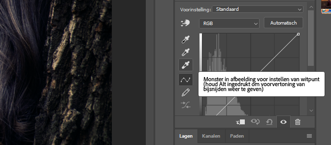 color grading foto kopiëren select witpunt