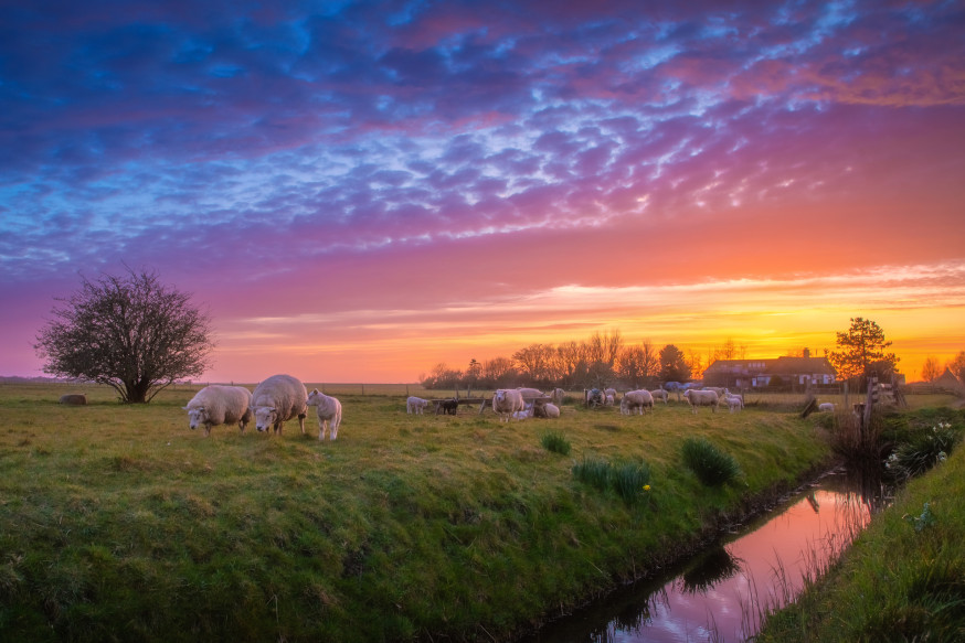 Spotlight van de week #15 | DIGIFOTO Pro Gallery