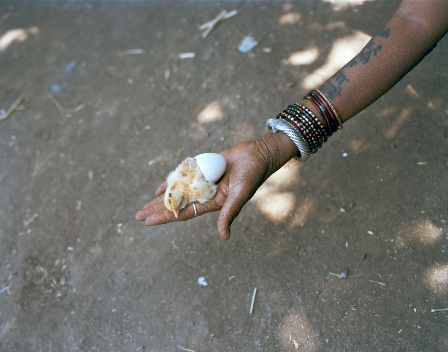 Sohrab Hura The Song Of Sparrows In A Hundred Days Of Summer, 2013–Ongoing Courtesy of the artist and Experimenter, Kolkata