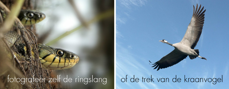 FOTOFAIR 2019 Masterclass: Natuurfotografie