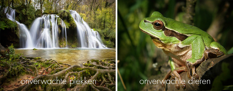 FOTOFAIR 2019 Masterclass: Natuurfotografie