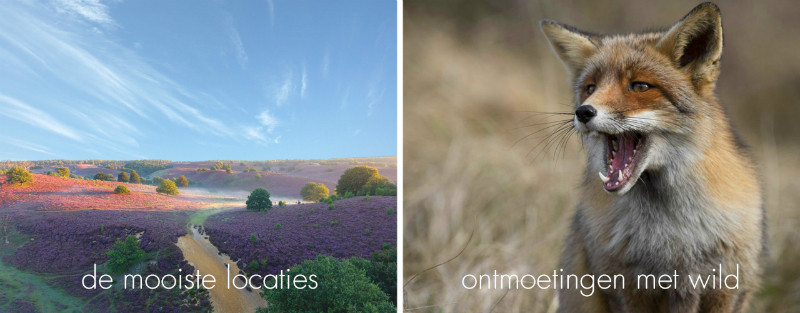 FOTOFAIR 2019 Masterclass: Natuurfotografie