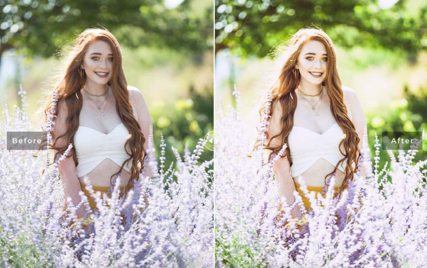 lightroom