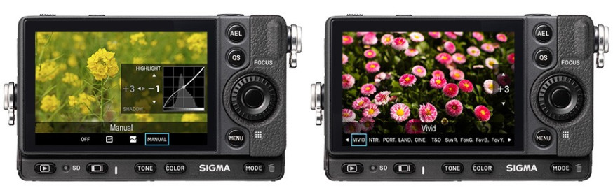 sigma fp