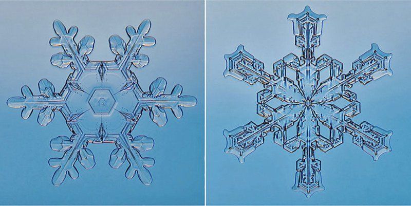 Steve Gettle fotografeerde sneeuwvlokken
