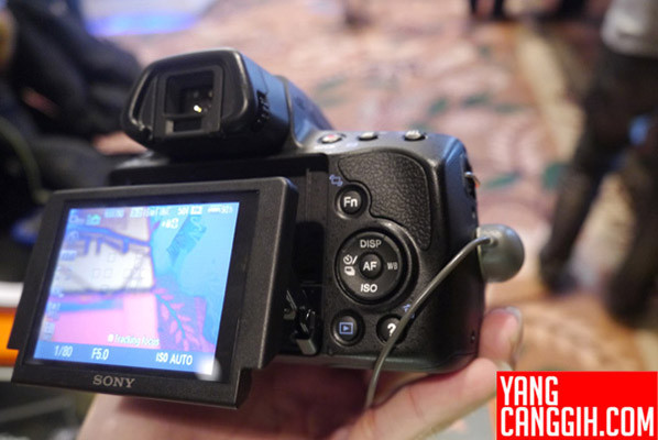 Sony A37