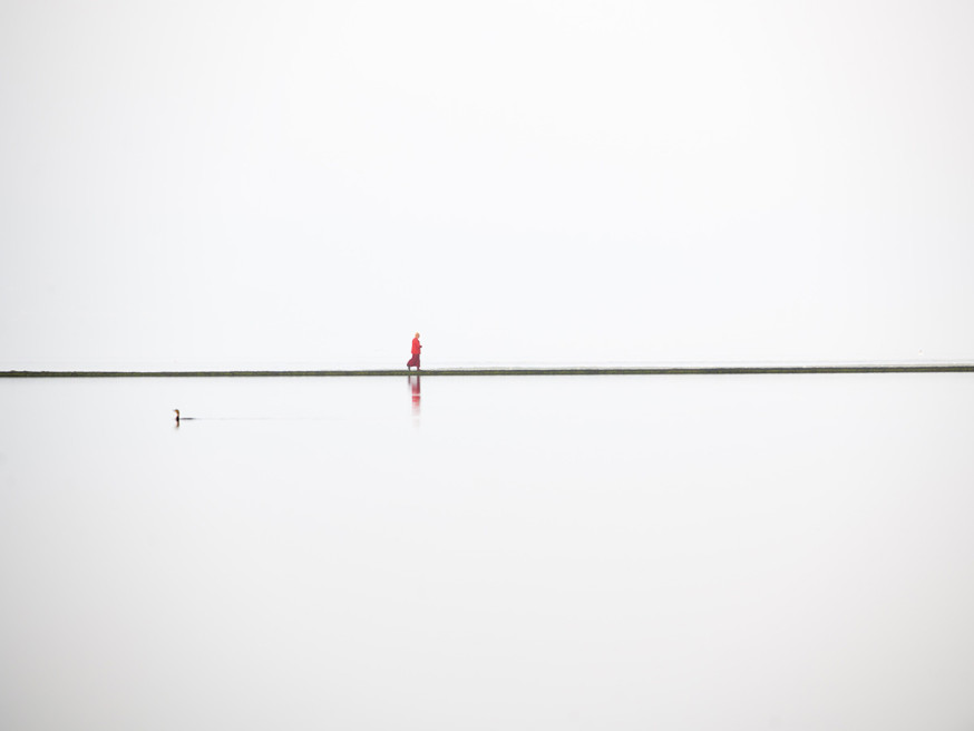 TPOTY 2016 