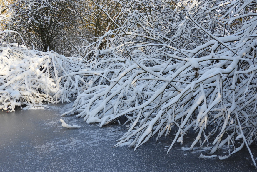 sneeuw, sneeuwfoto's, natuur, winter, winterfoto's, gallery, Lezersgallery, spotlight