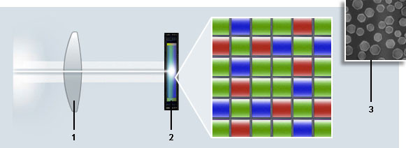 Fujifilm X-Trans-sensor