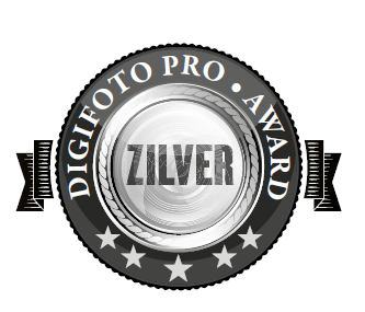 Zilver Award