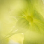 afbeelding van sabine.uhlig_158530