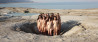 Naakt voor een goed doel: Spencer Tunick