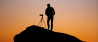 Tips voor het vinden van freelance fotografie klussen