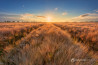 Minimalisme in Landschapsfotografie: Polders en vlakke landschappen