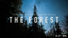The Forest – Morten Rustad