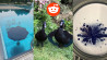5 meest aparte fotografie groepen op Reddit