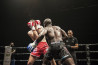 In de spotlight: ‘Kick Boxing’ van Bram Paulussen 