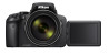 Review Nikon Coolpix P900: Ideale reiscamera?