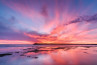 In de spotlight: ‘Spectacular Sunset’ van Ellen Kievit - van den Doel