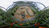 Mustsee: Nikon KeyMission360 vs een Sumatraanse tijger