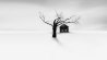 De zwart-witte winterwereld van Vassilis Tangoulis
