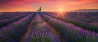 Gratis lezing Albert Dros over Landschapsfotografie